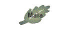Maia